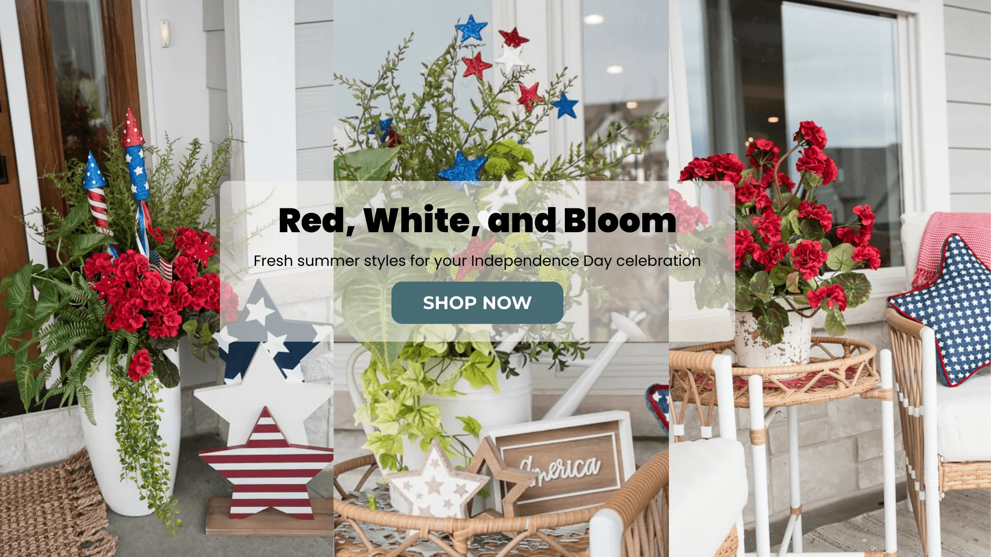 Elevate Your Space with Everlasting Blooms